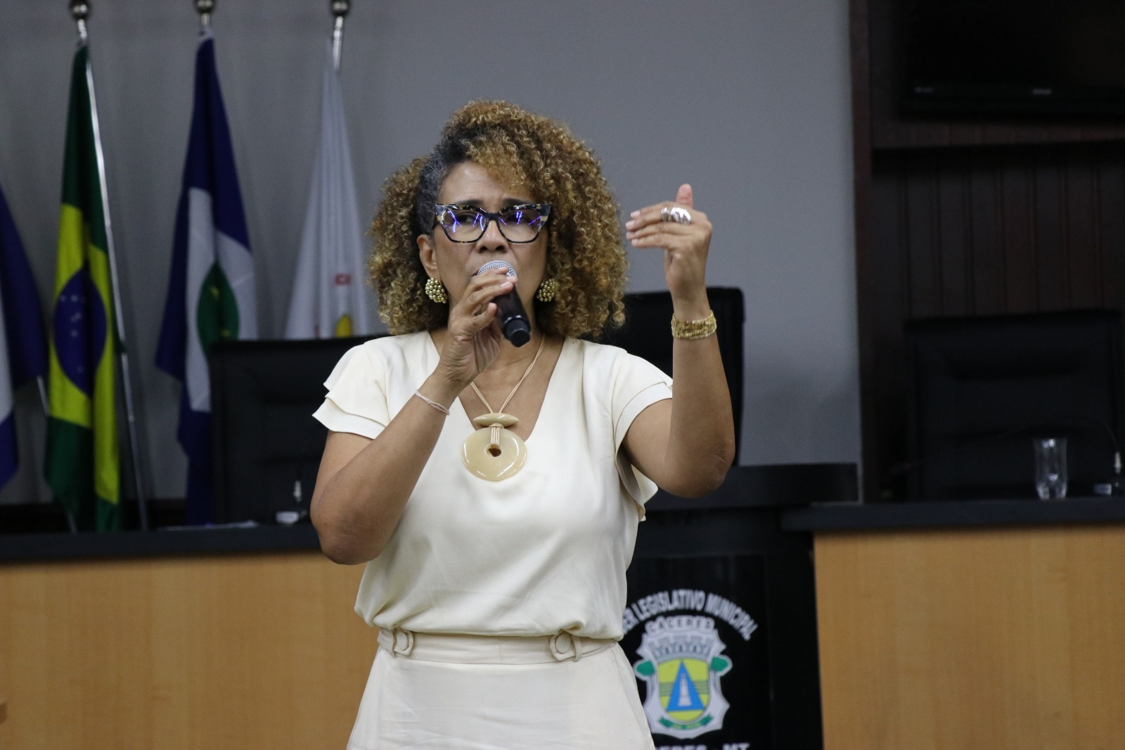 Audiência pública feminicídio (24/03/26)_CRED_Antonio Tiellet_CMC