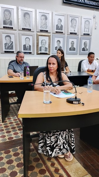 Audiência_publica_lei_silêncio_08.07.25_CRED_CMC.jpg