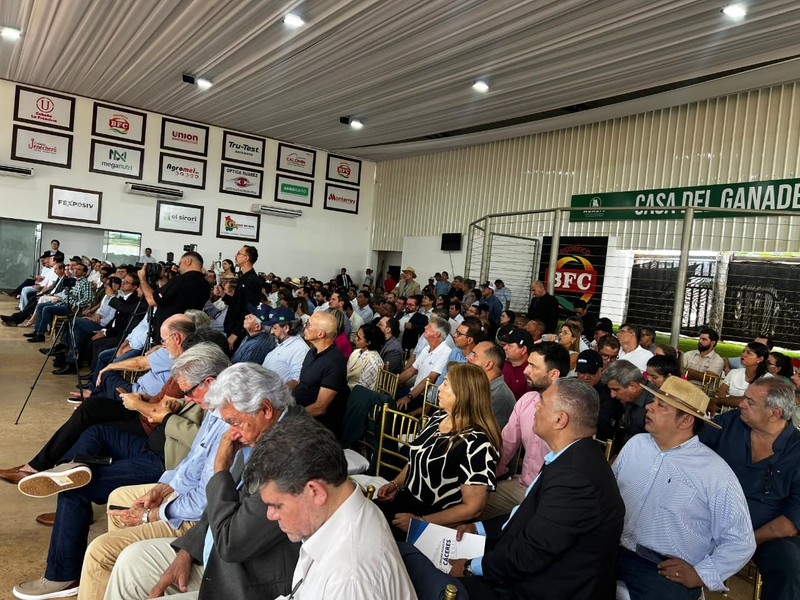 WhatsApp Image 2026-02-05 at 09.47.02 (2).jpeg