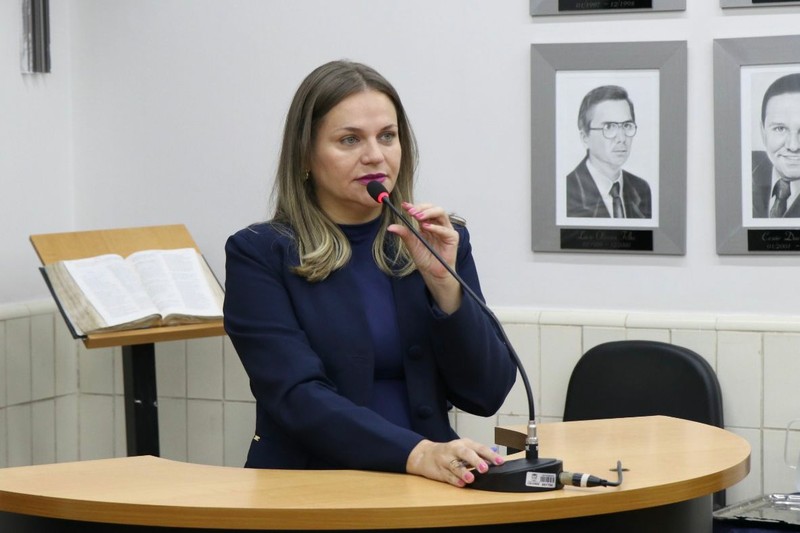 Sessão_Ordinária_08_06_26_Ver_Domingos_cred_Derick_HenriqueVer_Elis.jpeg