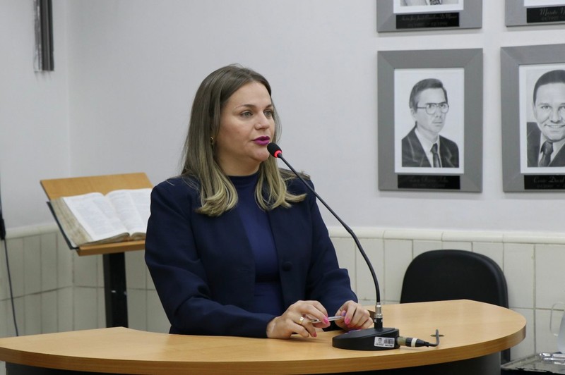 Sessão_Ordinária_08_06_26_Ver_Domingos_cred_Derick_HenriqueVer_Elis1.jpeg