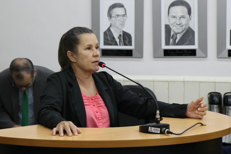 Sessão_Ordinária_08_06_26_Ver_Domingos_cred_Derick_HenriqueVer_Valdeniria.jpeg