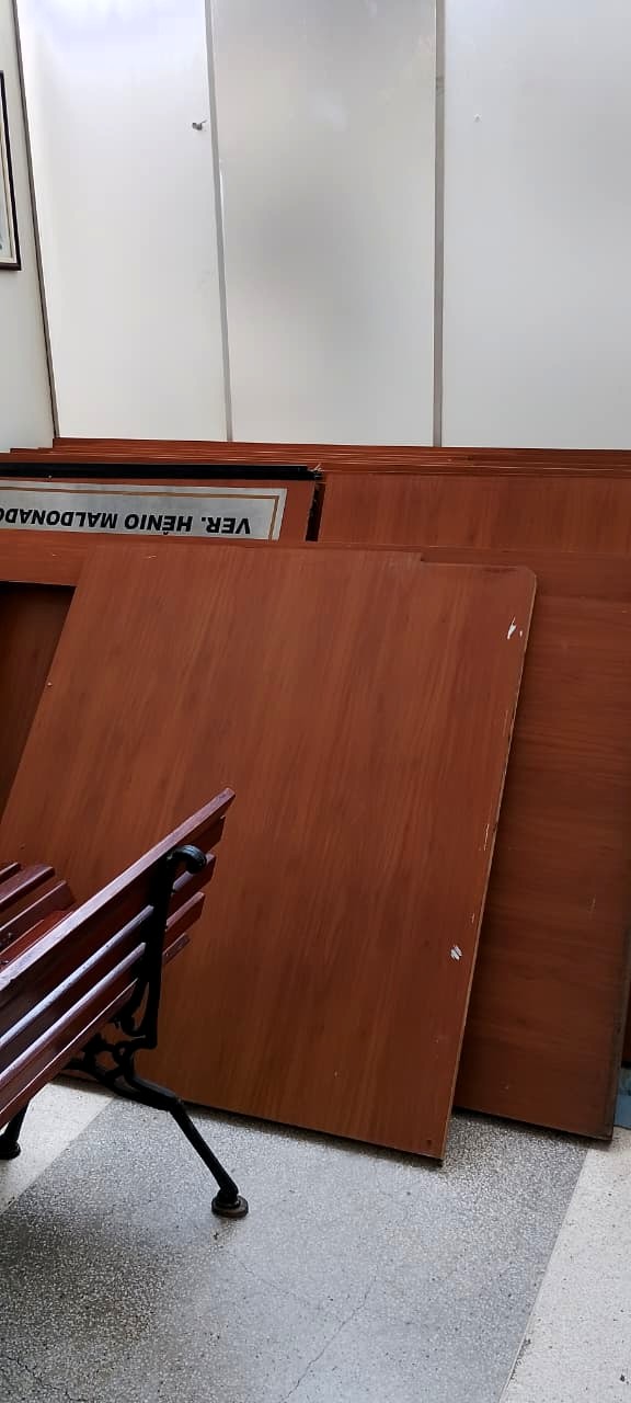 Reparos no plenário (30.01.26)_Cred_cmc