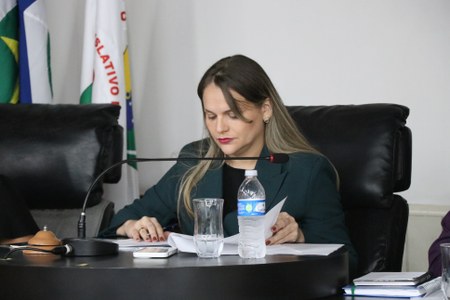 Audiência Pública para debater a Situação dos Moradores de Rua (04.12.25)_CRED_CMC