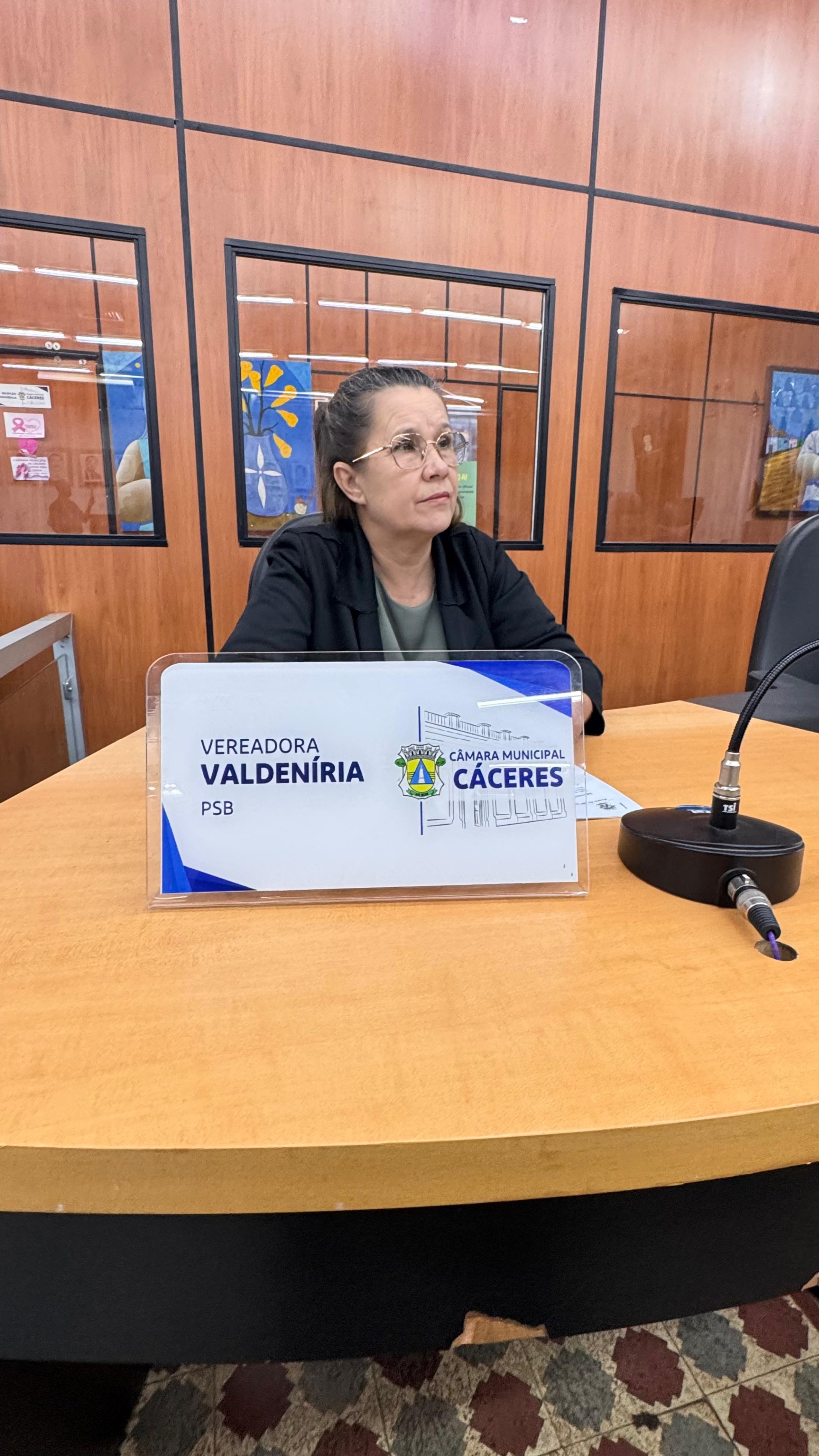 Sessão Ordinária (20.10.25)_CRED_CMC