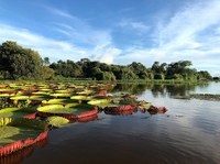 Câmara promove audiência pública para discutir implantação do Código Ambiental em Cáceres