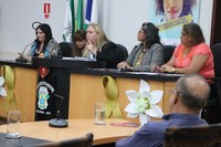 Em conjunto com Assembleia Legislativa e UCMMAT, audiência na Câmara debate políticas públicas para a mulher