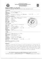 Fiação da Câmara é rompida e furtada na noite desta sexta-feira (28); não houve invasão do prédio