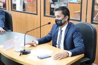 Indicação aprovada por unanimidade solicita que madeiras ilegais apreendidas sejam utilizadas para construir pergolados nas praças públicas