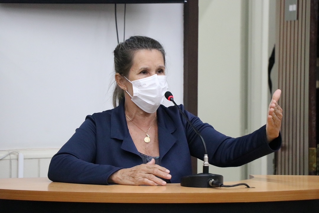 Indicação solicita construção de passarela elevada em frente à Escola Raquel Ramão da Silva, no Rodeio