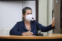 Indicação solicita construção de passarela elevada em frente à Escola Raquel Ramão da Silva, no Rodeio